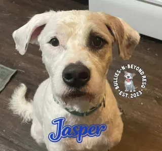 Jasper