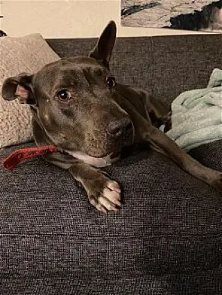 Keisy