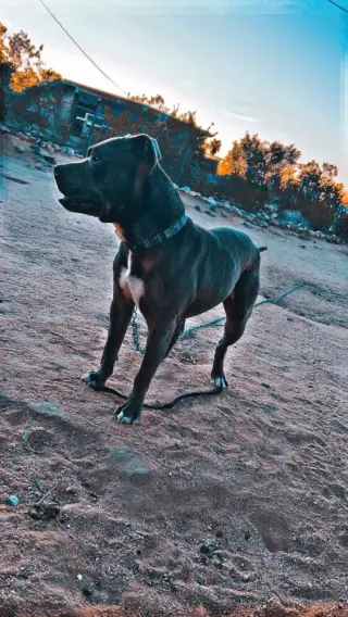 Lucky