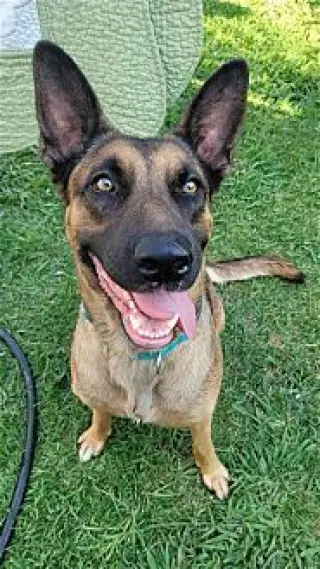 Sophia