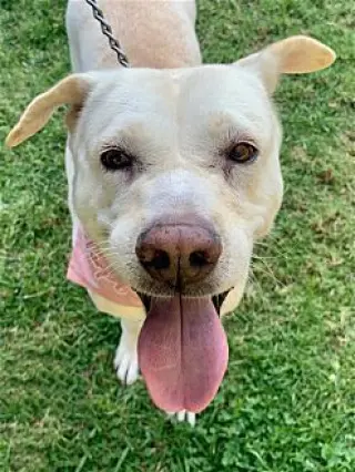 Maddy