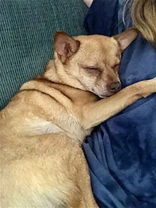 Duke