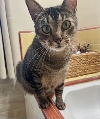 Fred