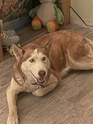 Coco