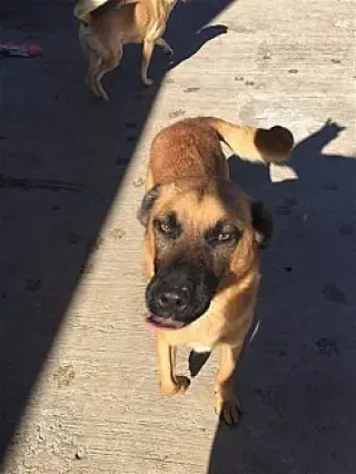 Durango