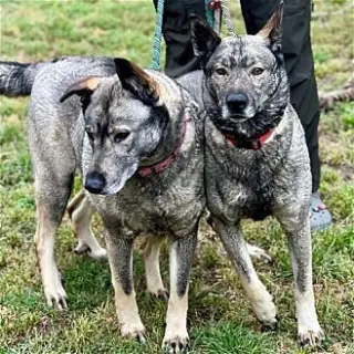 Freida and Dallen