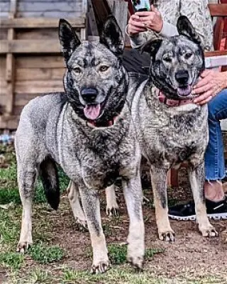 Freida and Dallen