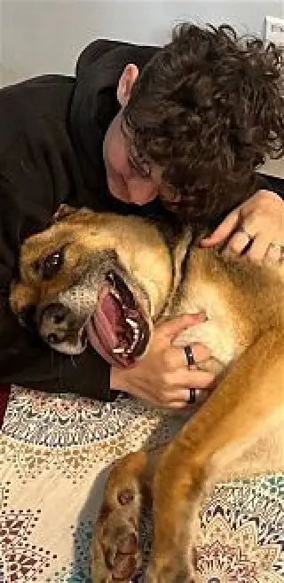 Scout
