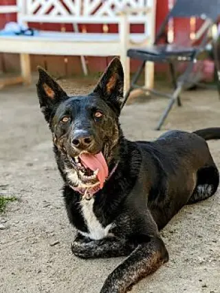 Luna
