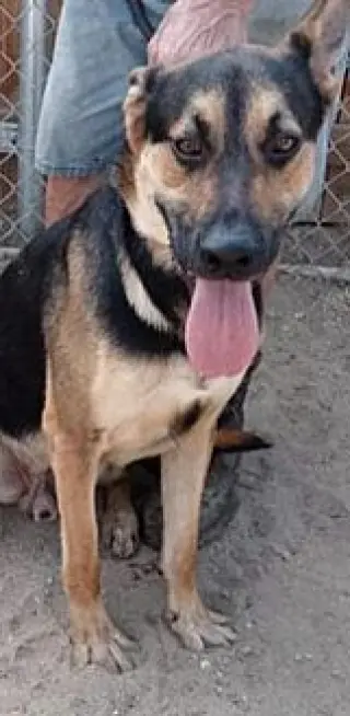 Zeke