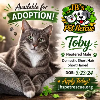 Toby