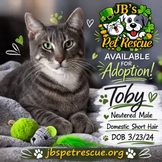 Toby