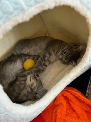 Twix