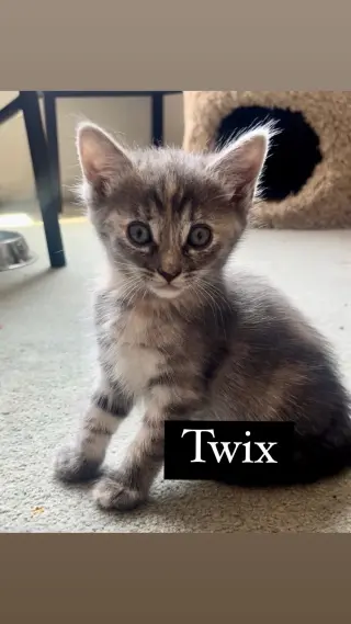 Twix