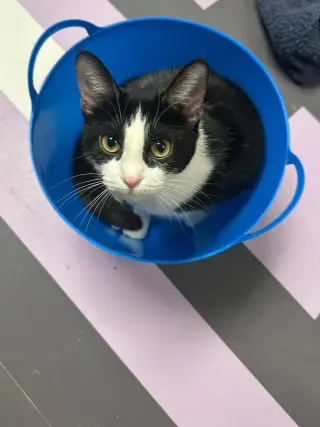 Minni