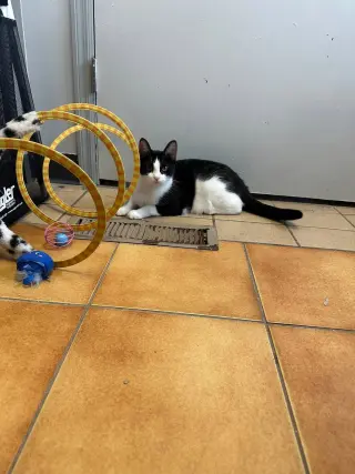 Minni