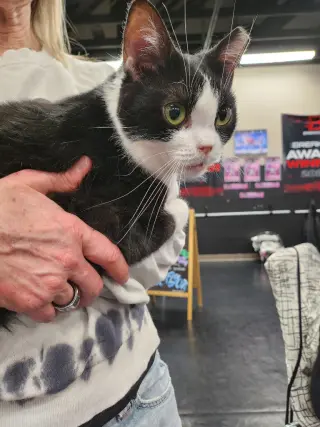 Fiona