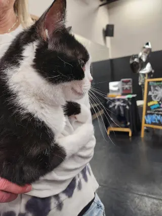Fiona