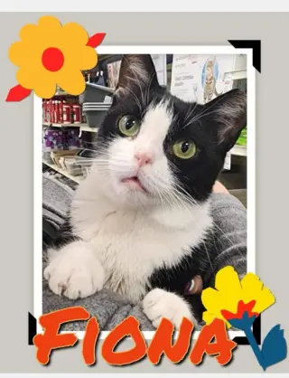 Fiona