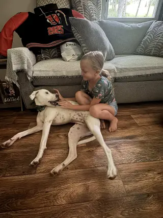 Abby (1.5yo,50lbs)