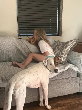 Abby (1.5yo,50lbs)