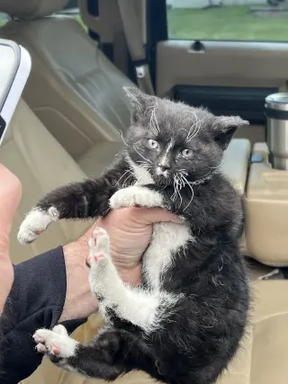 Kylo