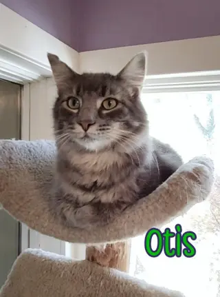 Otis (Bay Bridge #2)