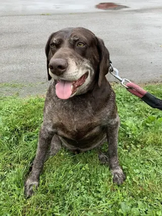 Remi