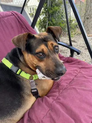 Duke