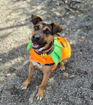Duke