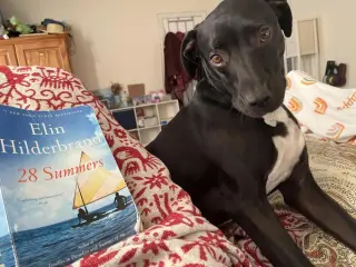 Otis