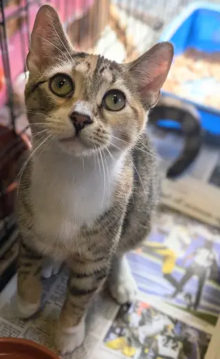 Kate