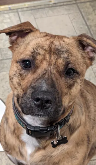 OAKLEY (COURTESY POST)