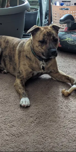 OAKLEY (COURTESY POST)