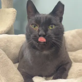Edgar