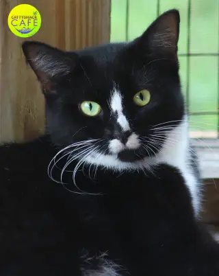 Alma