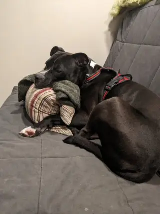 ATLAS (COURTESY POST)