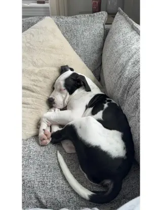 NASH (COURTESY POST)