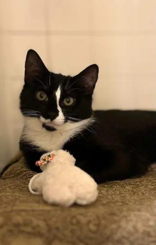 Ori