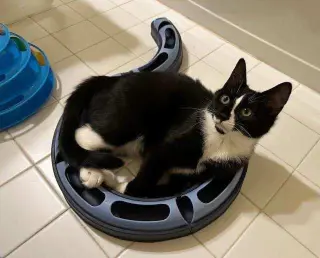 Ori