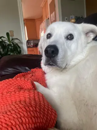 Sokka/Odin