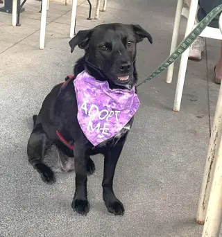 Nori