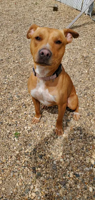 Rusty