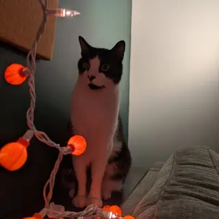 Spiro