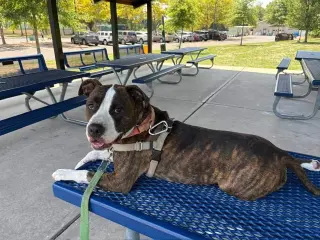 Sebastian