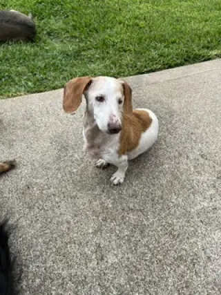 Baxter