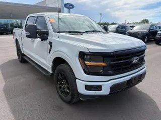 Ford F-150 2024 4x4 XLT 4p SuperCrew 5.5 ft. SB