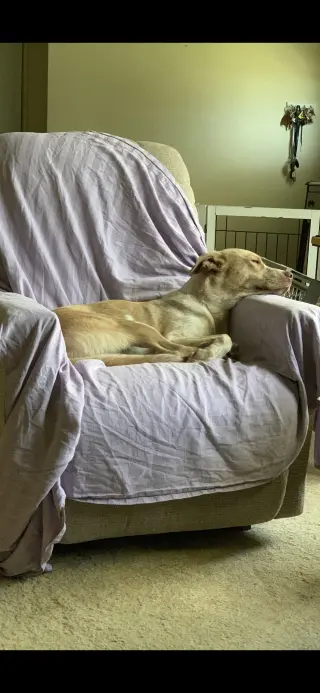 Bubba