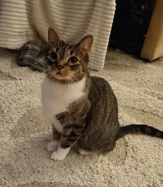 Jonah