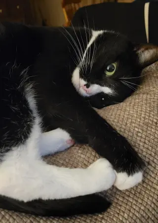 Sally